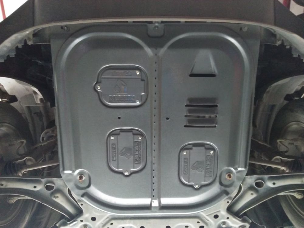 carfal engine protection